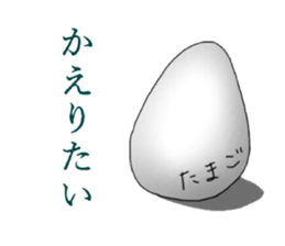 6027607