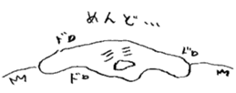 60276373
