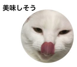 60277577
