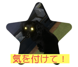 602789950