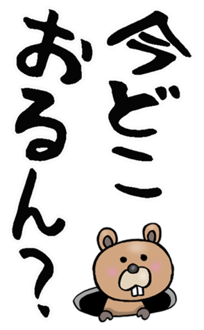 602798902
