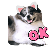 602806150