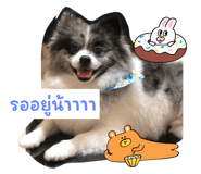 602806155
