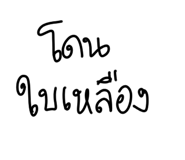 602806192