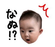 602813529