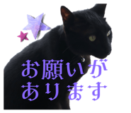602828066