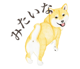 6028831