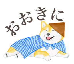 6028838