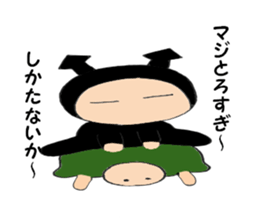 6029037