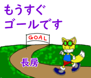 602956623
