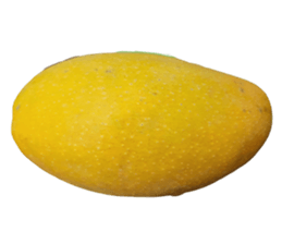 602979654