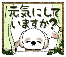 602980242
