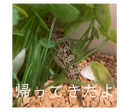 602984344