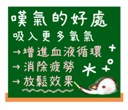 603067054