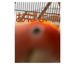 603093648