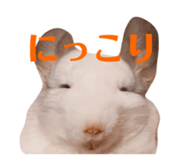 603101911