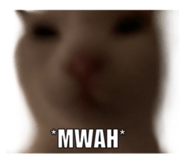 silly calico cat memes รูปที่ 21