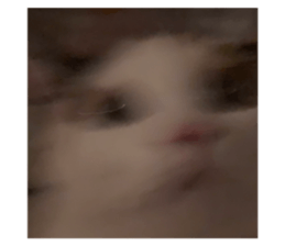 ลายที่ 65