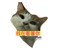 603157370
