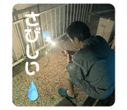 603158329