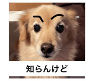 603158330