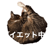 603158331