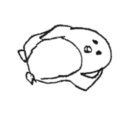 6031887