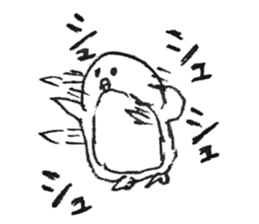 6031894