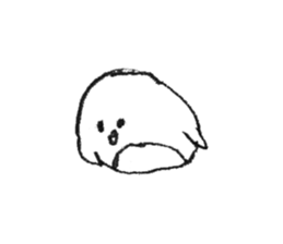 6031902