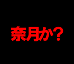 603204176
