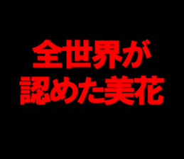 603204491
