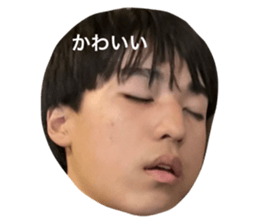 603332116