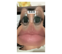 603342294