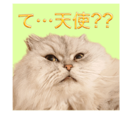 603386045
