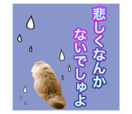 603386050