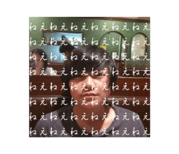 603484261