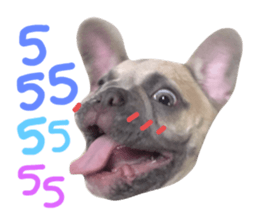 603494622