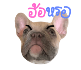 603494625