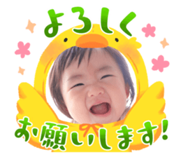 603534655