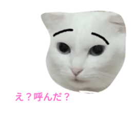 603534920