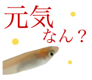 603545615