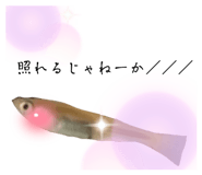 603545627