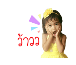60355050