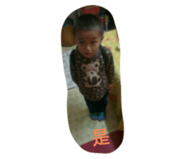 603559904