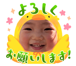 603590535