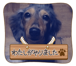 603685721
