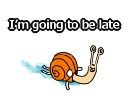 6037208