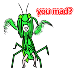 6037210