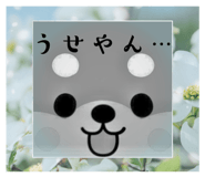 603736462