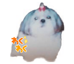 603742400